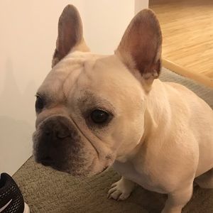 Meet your Posher, Cole